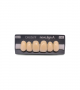 NOVO LIGN A VENEER ANT C43 UPPER A3.5 6 pc ASST 13, 12, 11, 21, 22, 23