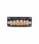 NOVO LIGN A VENEER ANT C43 UPPER A4 6 pc ASST 13, 12, 11, 21, 22, 23