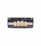 NOVO LIGN A VENEER ANT C43 UPPER B2 4 pc ASST 12, 11, 21, 22