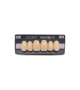 NOVO LIGN A VENEER ANT C43 UPPER B3 6 pc ASST 13, 12, 11, 21, 22, 23