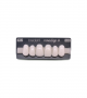 NOVO LIGN A VENEER ANT C43 UPPER BL3 6 pc ASST 13, 12, 11, 21, 22, 23