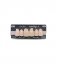 NOVO LIGN A VENEER ANT C43 UPPER C1 6 pc ASST 13, 12, 11, 21, 22, 23