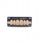 NOVO LIGN A VENEER ANT C43 UPPER C2 6 pc ASST 13, 12, 11, 21, 22, 23