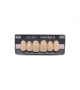 NOVO LIGN A VENEER ANT C43 UPPER C3 6 pc ASST 13, 12, 11, 21, 22, 23