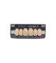 NOVO LIGN A VENEER ANT C43 UPPER D2 6 pc ASST 13, 12, 11, 21, 22, 23