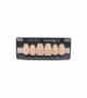 NOVO LIGN A VENEER ANT C43 UPPER D3 6 pc ASST 13, 12, 11, 21, 22, 23