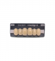 NOVO LIGN A VENEER ANT C43 UPPER D4 6 pc ASST 13, 12, 11, 21, 22, 23