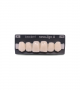 NOVO LIGN A VENEER ANT D48 UPPER A1 6 pc ASST 13, 12, 11, 21, 22, 23