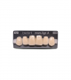 NOVO LIGN A VENEER ANT D48 UPPER A2 6 pc ASST 13, 12, 11, 21, 22, 23