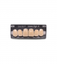 NOVO LIGN A VENEER ANT D48 UPPER A3 6 pc ASST 13, 12, 11, 21, 22, 23