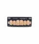 NOVO LIGN A VENEER ANT D48 UPPER A3.5 6 pc ASST 13, 12, 11, 21, 22, 23