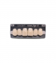 NOVO LIGN A VENEER ANT D48 UPPER B2 6 pc ASST 13, 12, 11, 21, 22, 23