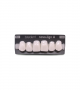 NOVO LIGN A VENEER ANT D48 UPPER BL3 6 pc ASST 13, 12, 11, 21, 22, 21