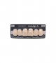NOVO LIGN A VENEER ANT D48 UPPER C1 6 pc ASST 13, 12, 11, 21, 22, 23