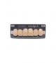 NOVO LIGN A VENEER ANT D48 UPPER C2 6 pc ASST 13, 12, 11, 21, 22, 23