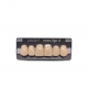 NOVO LIGN A VENEER ANT D48 UPPER C3 6 pc ASST 13, 12, 11, 21, 22, 23