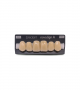NOVO LIGN A VENEER ANT D48 UPPER C4 6 pc ASST 13, 12, 11, 21, 22, 23