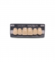 NOVO LIGN A VENEER ANT D48 UPPER D2 6 pc ASST 13, 12, 11, 21, 22, 23