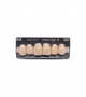 NOVO LIGN A VENEER ANT D48 UPPER D3 6 pc ASST 13, 12, 11, 21, 22, 21