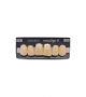 NOVO LIGN A VENEER ANT D48 UPPER D4 6 pc ASST 13, 12, 11, 21, 22, 23