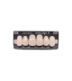 NOVO LIGN A VENEER ANT D49 UPPER A1 6 pc ASST 13, 12, 11, 21, 22, 23