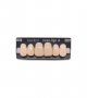 NOVO LIGN A VENEER ANT D49 UPPER A2 6 pc ASST 13, 12, 11, 21, 22, 23