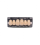 NOVO LIGN A VENEER ANT D49 UPPER A3 6 pc ASST 13, 12, 11, 21, 22, 23