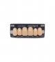 NOVO LIGN A VENEER ANT D49 UPPER A3.5 6 pc ASST 13, 12, 11, 21, 22, 23