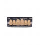 NOVO LIGN A VENEER ANT D49 UPPER A4 6 pc ASST 13, 12, 11, 21, 22, 23