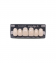 NOVO LIGN A VENEER ANT D49 UPPER B1 6 pc ASST 13, 12, 11, 21, 22, 23