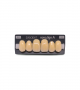 NOVO LIGN A VENEER ANT D49 UPPER B4 6 pc ASST 13, 12, 11, 21, 22, 23