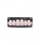 NOVO LIGN A VENEER ANT D49 UPPER BL3 6 pc ASST 13, 12, 11, 21, 22, 23