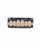 NOVO LIGN A VENEER ANT D49 UPPER C1 6 pc ASST 13, 12, 11, 21, 22, 23