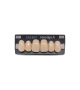 NOVO LIGN A VENEER ANT D49 UPPER D2 6 pc ASST 13, 12, 11, 21, 22, 23