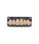NOVO LIGN A VENEER ANT D49 UPPER D4 6 pc ASST 13, 12, 11, 21, 22, 23