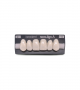 NOVO LIGN A VENEER ANT F44 UPPER A1 6 pc ASST 13, 12, 11, 21, 22, 23