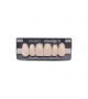 NOVO LIGN A VENEER ANT F44 UPPER C1 6 pc ASST 13, 12, 11, 21, 22, 23