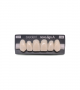 NOVO LIGN A VENEER ANT H46 UPPER C1 6 pc ASST 13, 12, 11, 21, 22, 23