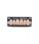 NOVO LIGN A VENEER ANT H46 UPPER C2 6 pc ASST 13, 12, 11, 21, 22, 23