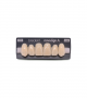 NOVO LIGN A VENEER ANT H46 UPPER D2 6 pc ASST 13, 12, 11, 21, 22, 23