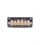 NOVO LIGN A VENEER ANT I45 UPPER A3 6 pc ASST 13, 12, 11, 21, 22, 23