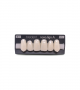 NOVO LIGN A VENEER ANT I45 UPPER B1 6 pc ASST 13, 12, 11, 21, 22, 23