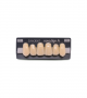 NOVO LIGN A VENEER ANT I45 UPPER B3 6 pc ASST 13, 12, 11, 21, 22, 23