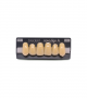 NOVO LIGN A VENEER ANT I45 UPPER B4 6 pc ASST 13, 12, 11, 21, 22, 23
