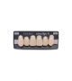 NOVO LIGN A VENEER ANT I45 UPPER C1 6 pc ASST 13, 12, 11, 21, 22, 23