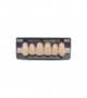 NOVO LIGN A VENEER ANT I45 UPPER C2 6 pc ASST 13, 12, 11, 21, 22, 23