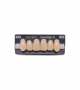 NOVO LIGN A VENEER ANT I45 UPPER C3 6 pc ASST 13, 12, 11, 21, 22, 23