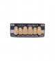 NOVO LIGN A VENEER ANT I45 UPPER C4 6 pc ASST 13, 12, 11, 21, 22, 23