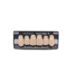 NOVO LIGN A VENEER ANT I45 UPPER D3 6 pc ASST 13, 12, 11, 21, 22, 23