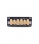 NOVO LIGN A VENEER ANT I45 UPPER D4 6 pc ASST 13, 12, 11, 21, 22, 23